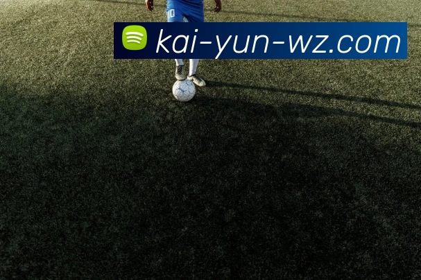 App Interface Preview